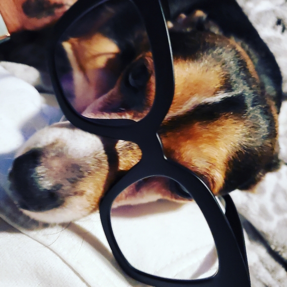 Meet your Posher, Lena - Picture 3 of 4